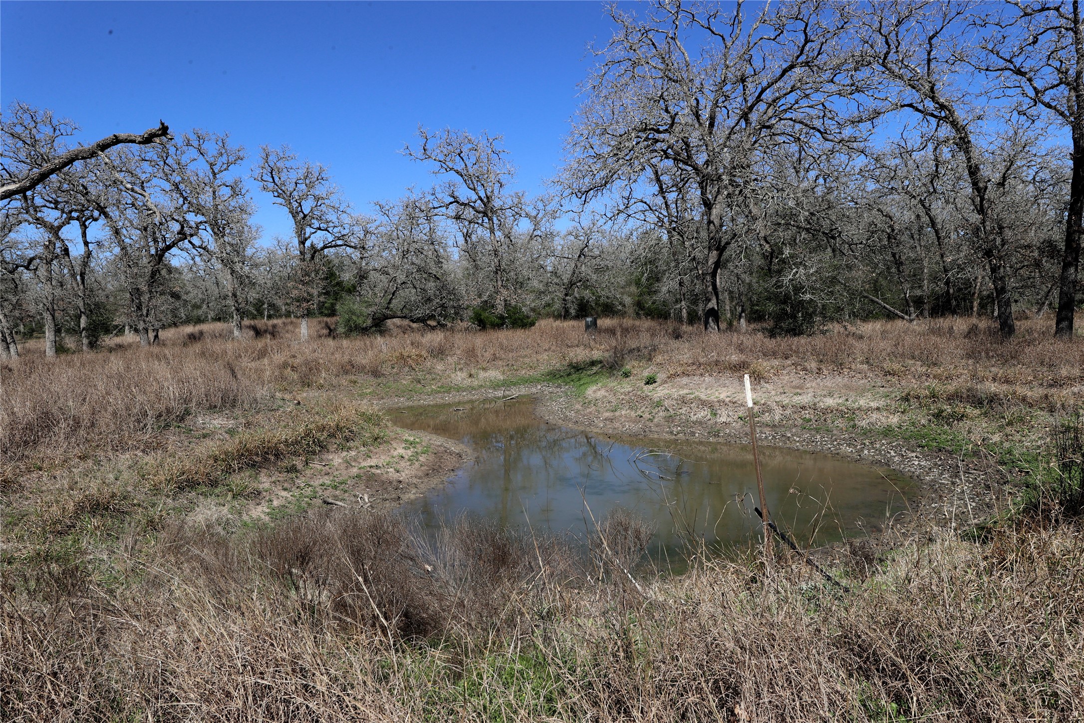 3337 Brunes Mill Road Columbus, TX 78934 - Photo 36 of 48 a view of a lake view