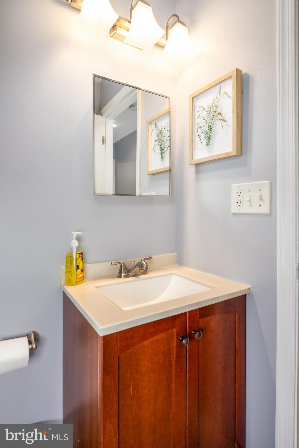 1247 Carroll Street Baltimore, MD 21230 - Photo 14 of 24 a bathroom with a sink and a mirror