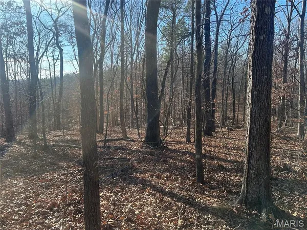 $74,299 | 306 Madison Cr, Fredericktown, MO 63645