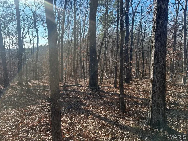 $74,299 | 306 Madison Cr, Fredericktown, MO 63645