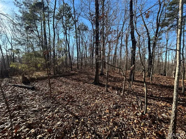 $74,299 | 306 Madison Cr, Fredericktown, MO 63645