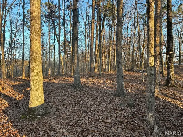 $74,299 | 306 Madison Cr, Fredericktown, MO 63645