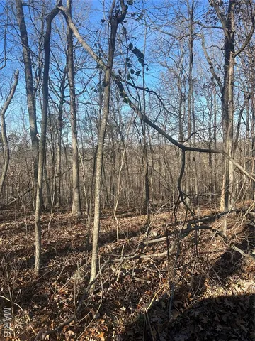 $74,299 | 306 Madison Cr, Fredericktown, MO 63645