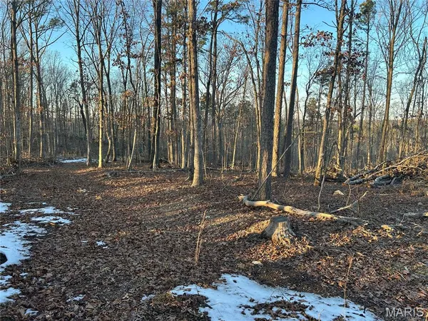 $74,299 | 306 Madison Cr, Fredericktown, MO 63645