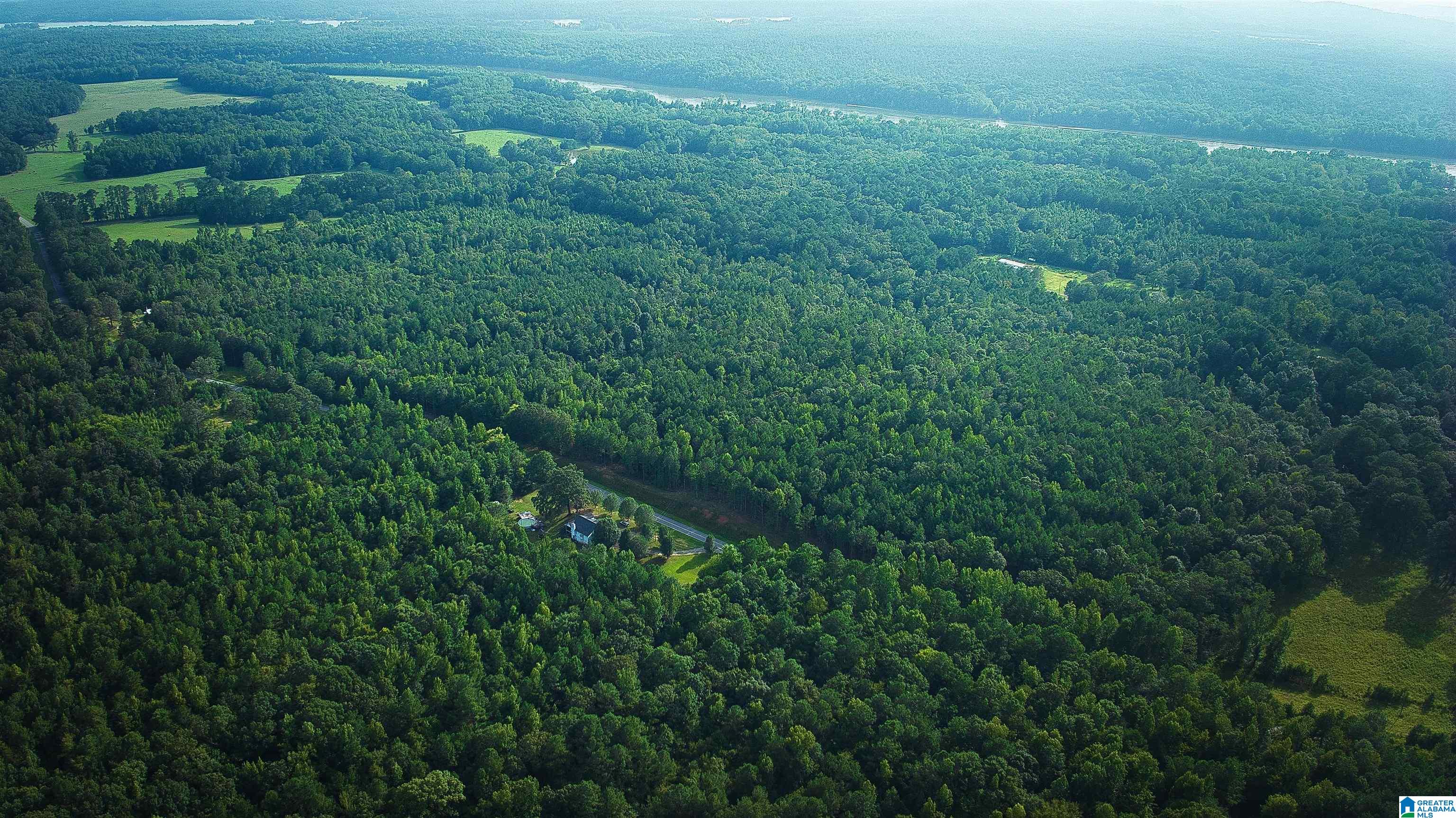 Lot 20 Wester Road, Unit LOT 20 Ragland, AL 35131 - Photo 39 of 68