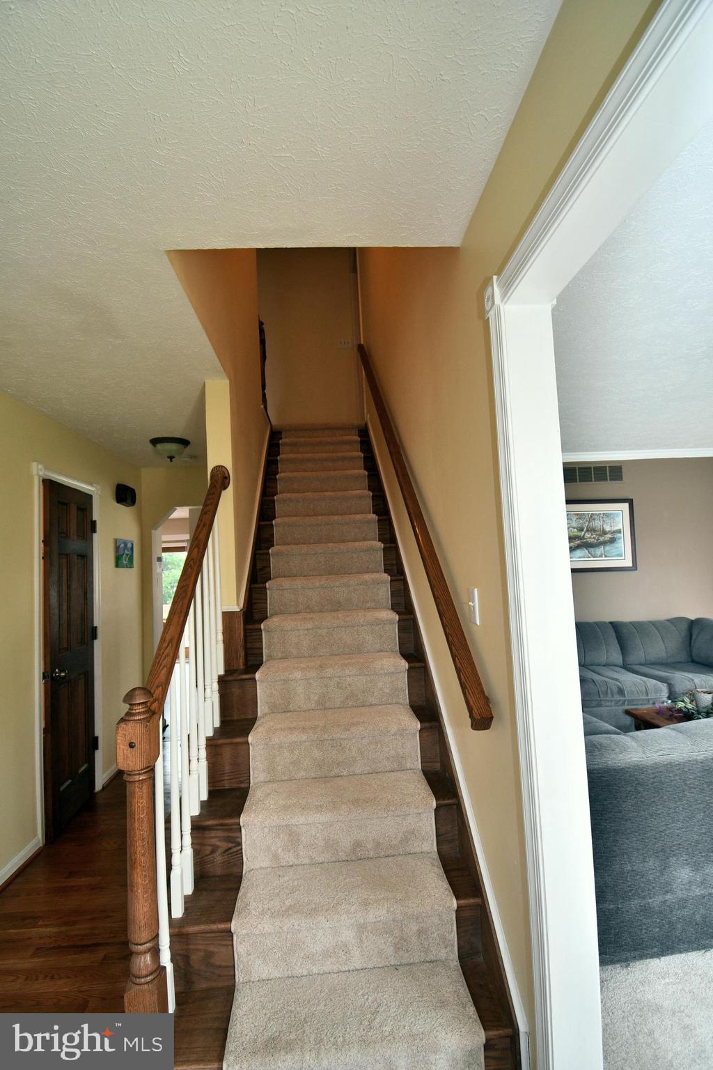 3113 Valley View Court Rohrersville, MD 21779 - Photo 24 of 37 Newly carpeted stairs going to 2nd level