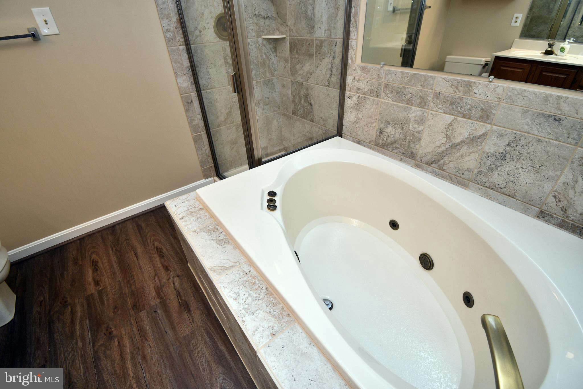 3113 Valley View Court Rohrersville, MD 21779 - Photo 30 of 37 Master Bath new floor and new tile