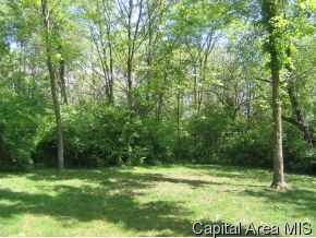 7367 Deer Run Road Pleasant Plains, IL 62677 - Photo 12 of 12 Gallery Image 12