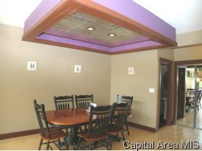 7367 Deer Run Road Pleasant Plains, IL 62677 - Photo 5 of 12 Gallery Image 5