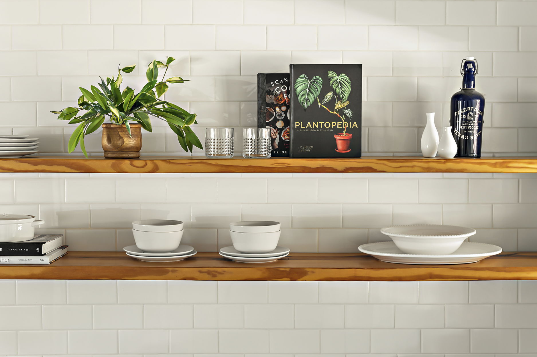 1211 Alexander Avenue Austin, TX 78702 - Photo 14 of 34 a potted plant sitting on a shelf with a potted plant