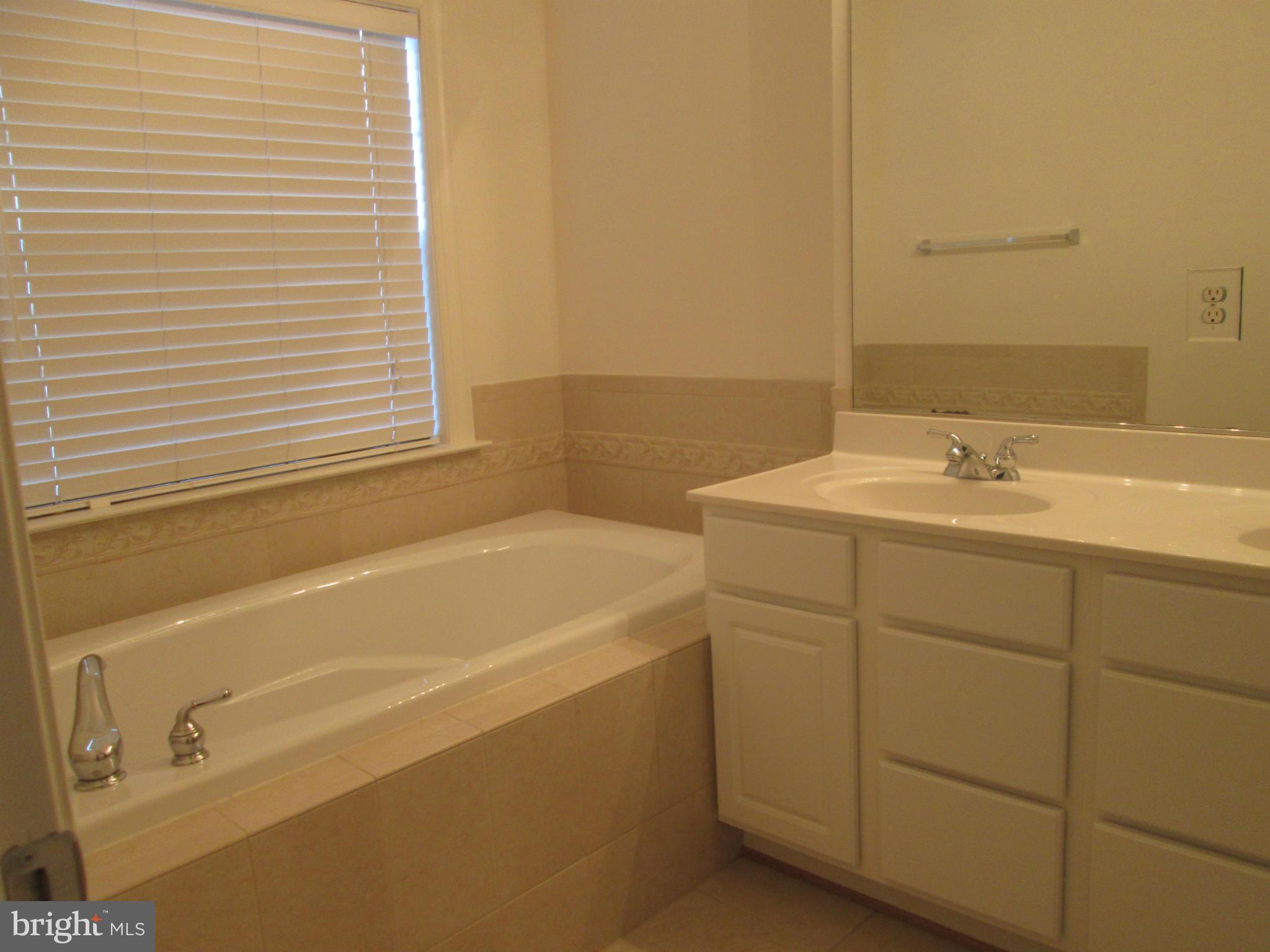 8103 Hard Shale Road Manassas, VA 20111 - Photo 17 of 29 Bath (Master)