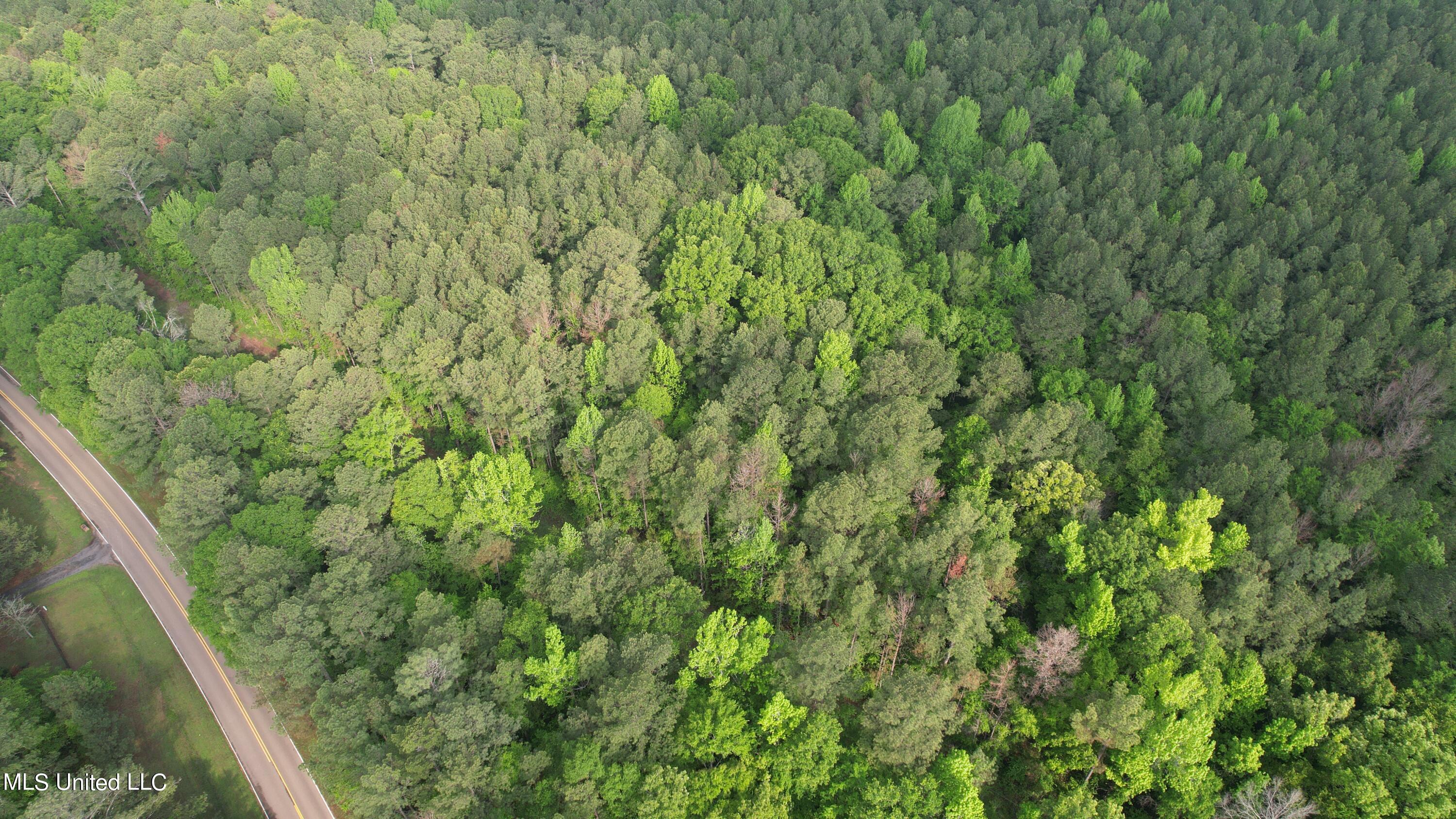0 Robinson Road Canton, MS 39046 - Photo 13 of 17 13.