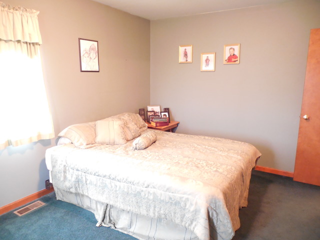 2114 East 24th Road Grand Ridge, IL 61325 - Photo 14 of 25