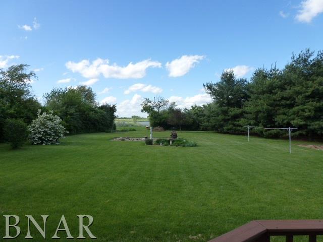 19401 Rainbow Road Weldon, IL 61882 - Photo 4 of 26