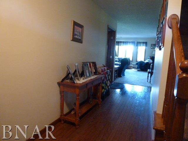 19401 Rainbow Road Weldon, IL 61882 - Photo 5 of 26