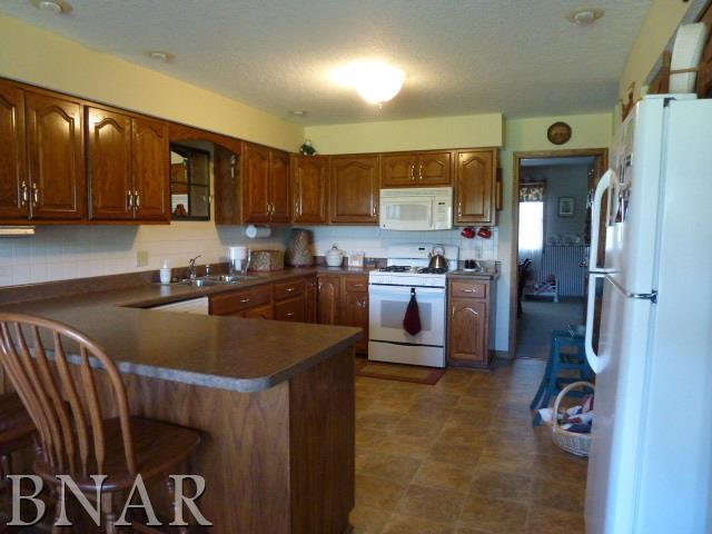 19401 Rainbow Road Weldon, IL 61882 - Photo 8 of 26