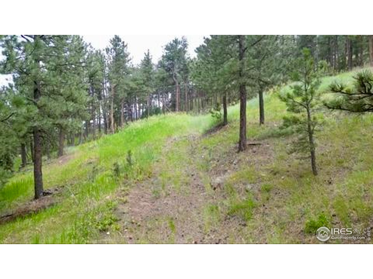 375 Arroyo Chico Boulder, CO 80302 - Photo 24 of 42 Rare Boulder County lot-perfect for a custom-built, energy-efficient home with natural privacy.