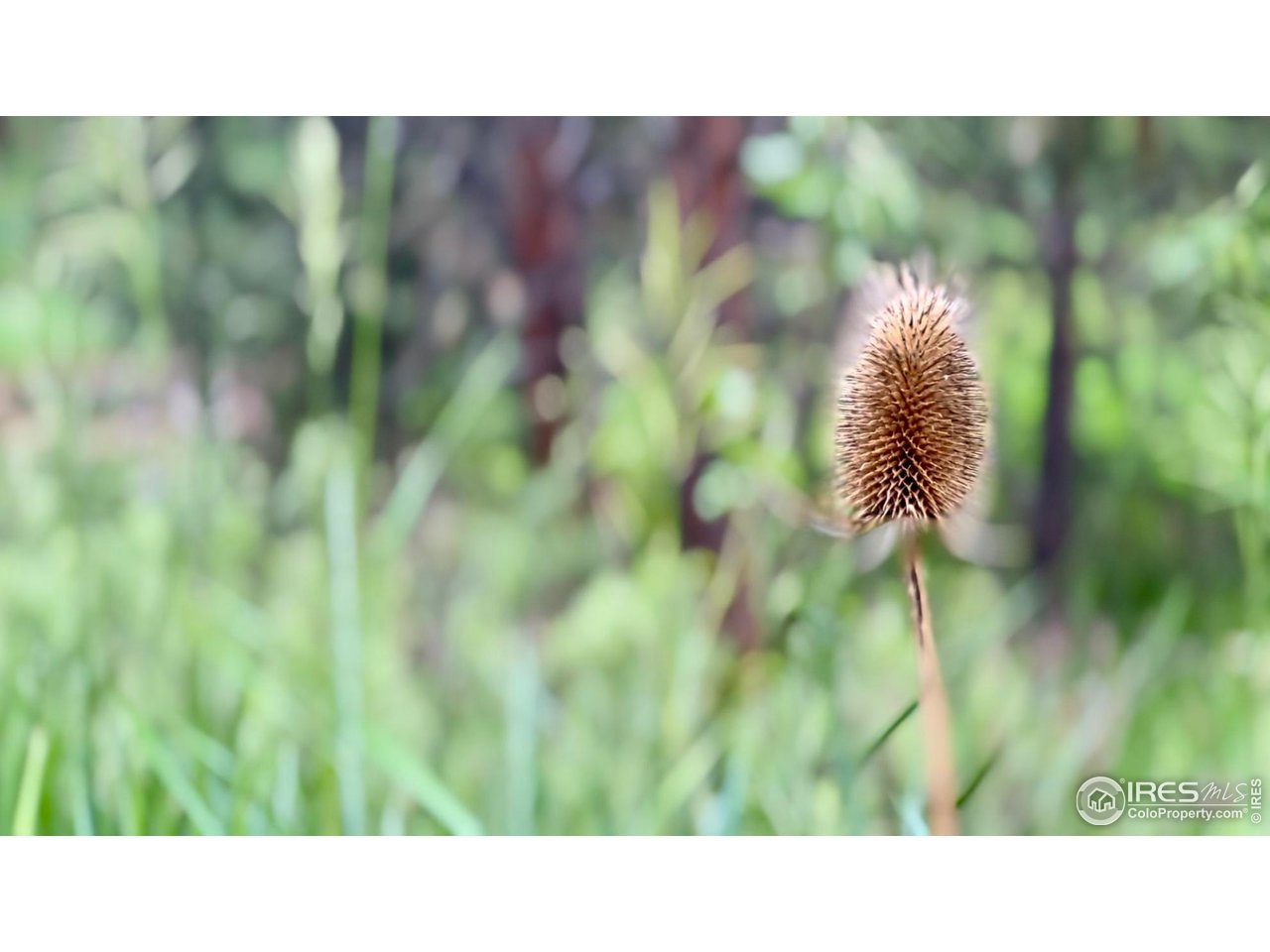 375 Arroyo Chico Boulder, CO 80302 - Photo 31 of 42