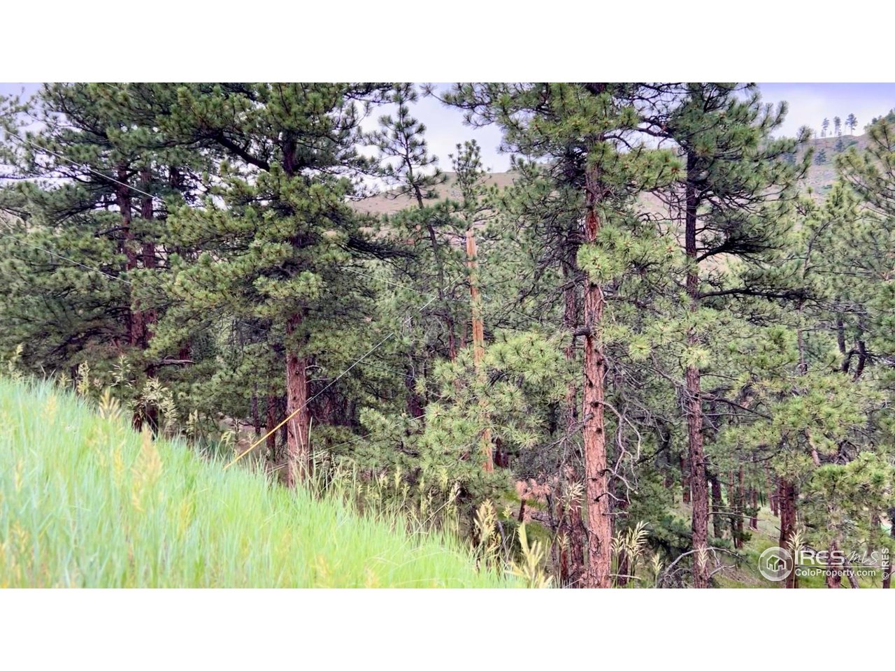 375 Arroyo Chico Boulder, CO 80302 - Photo 34 of 42 A secluded, unspoiled forest retreat-where the land is ancient and alive.