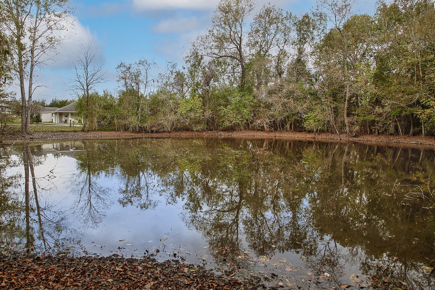 12121 North Ridgeway Willis, TX 77318 - Photo 14 of 47