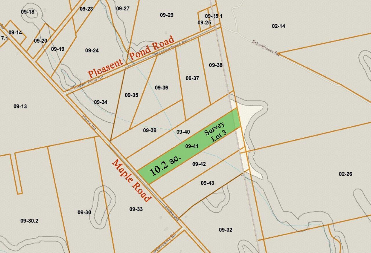 Lot 3 Maple Road Milo, ME 04463 - Photo 17 of 17 TM LUPC Zoning and Parcel Viewer_edited-