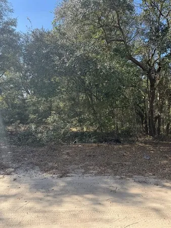 $32,900 | Tbd Northwest 52nd Court, Ocala, FL 34482