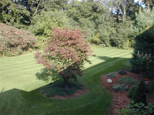 529 Boston Road Billerica, MA 01821 - Photo 23 of 26