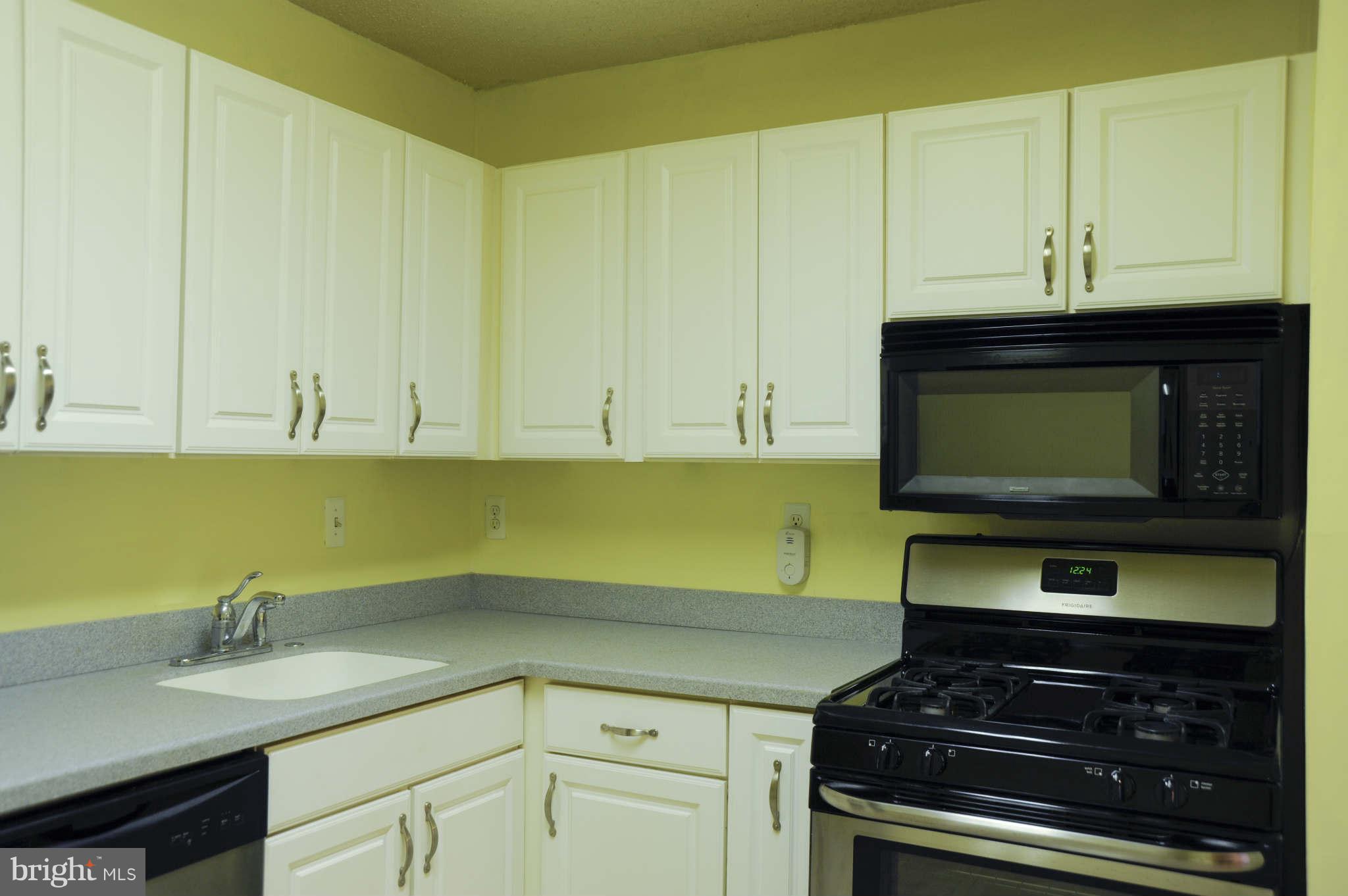 5225 Pooks Hill Road, Unit 1322N Bethesda, MD 20814 - Photo 2 of 21 Kitchen