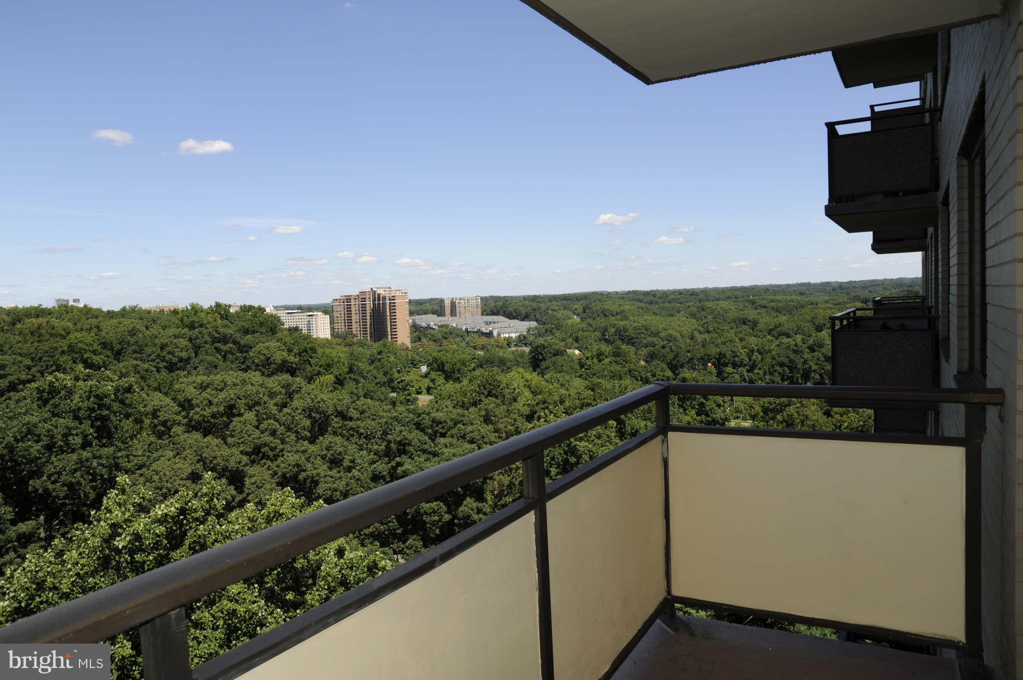 5225 Pooks Hill Road, Unit 1322N Bethesda, MD 20814 - Photo 14 of 21 View