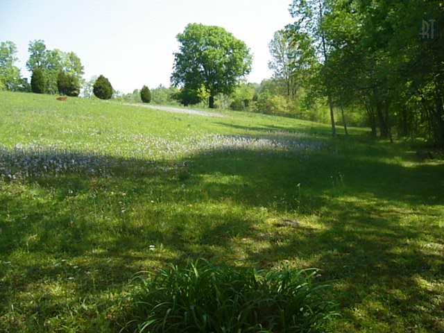365 North Hunter Road Portland, TN 37148 - Photo 22 of 30 a view of field with grass and trees