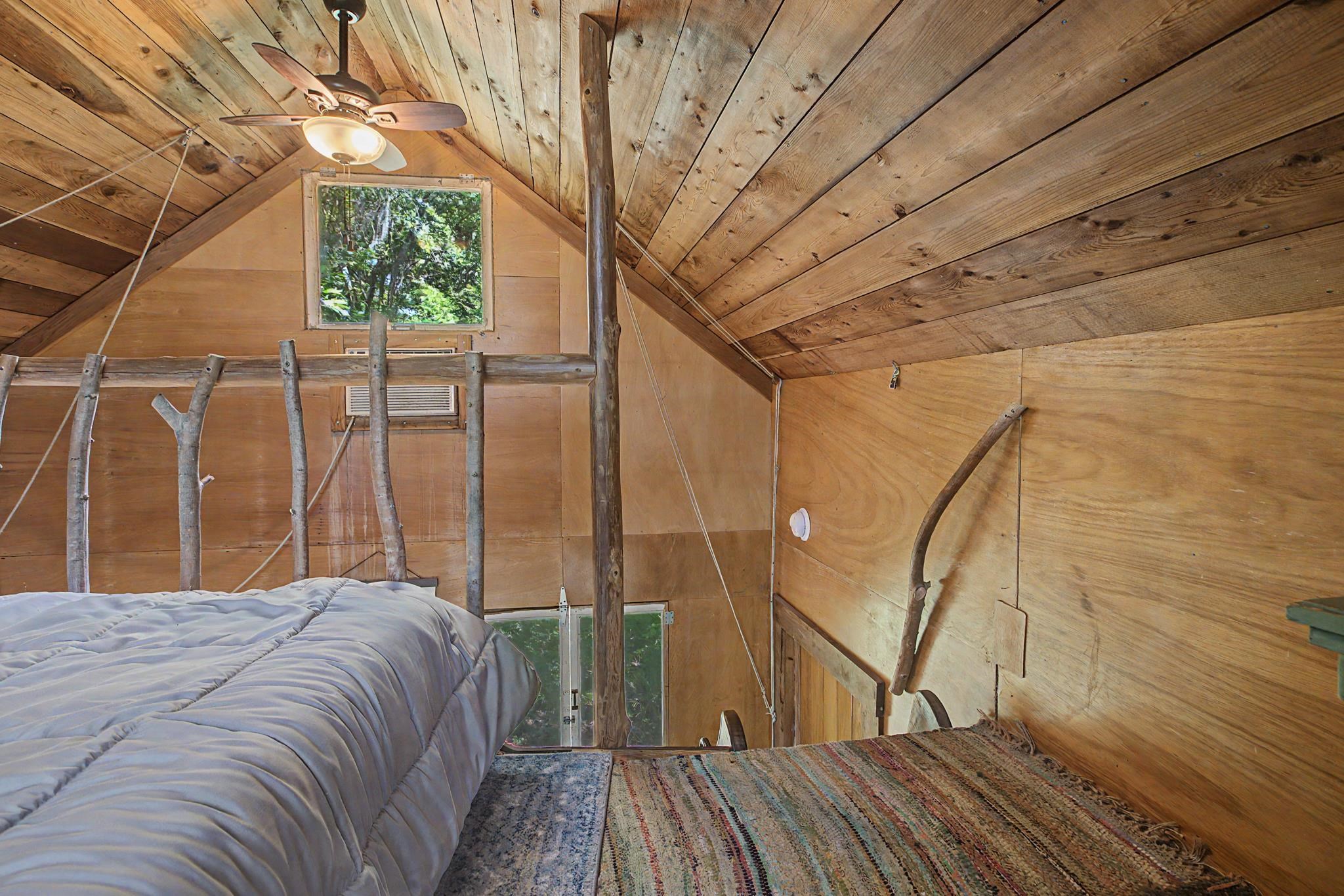 253 Persimmon Road Sopchoppy, FL 32358 - Photo 16 of 56