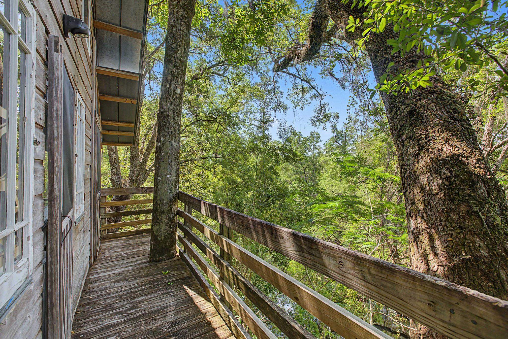 253 Persimmon Road Sopchoppy, FL 32358 - Photo 18 of 56