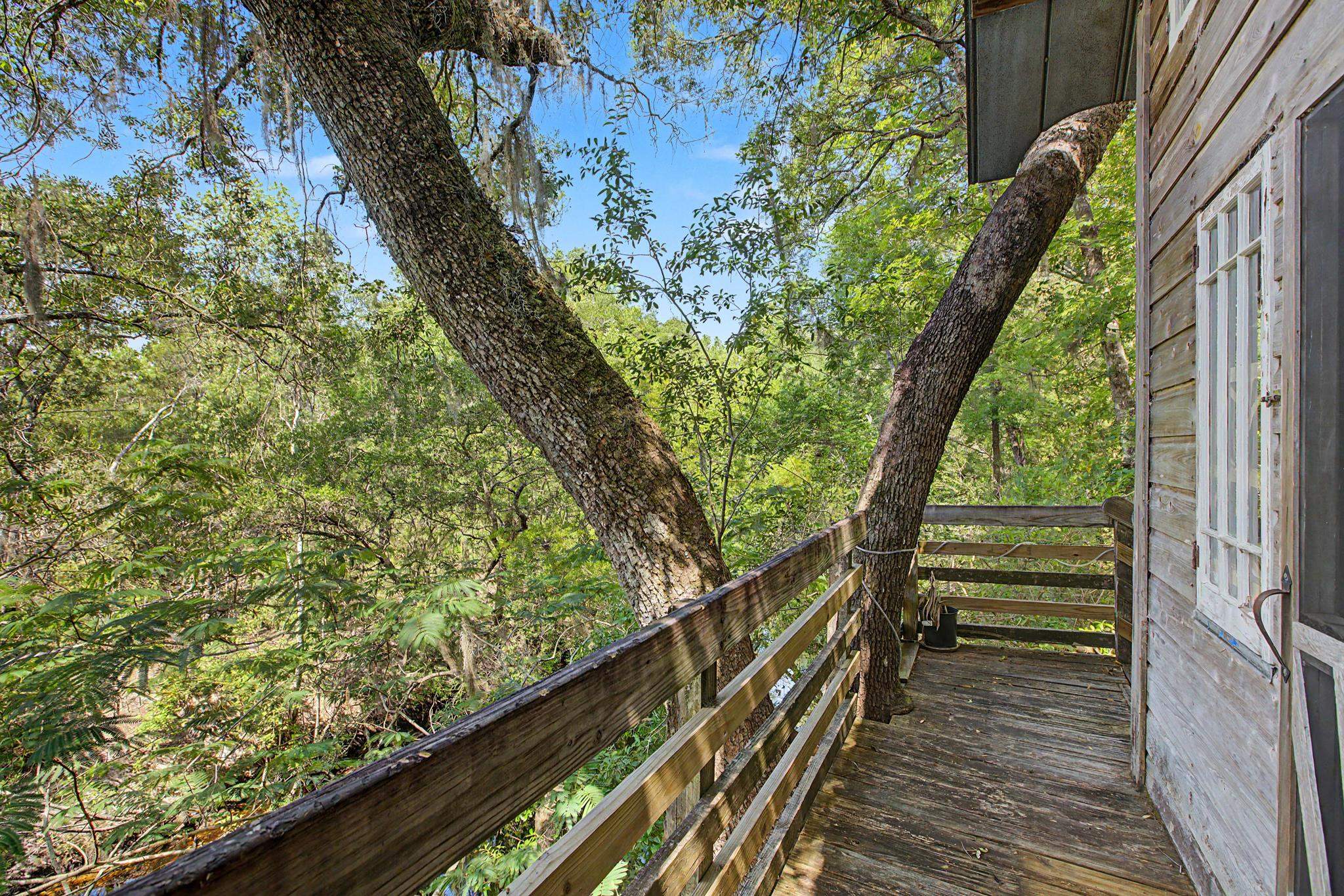 253 Persimmon Road Sopchoppy, FL 32358 - Photo 19 of 56