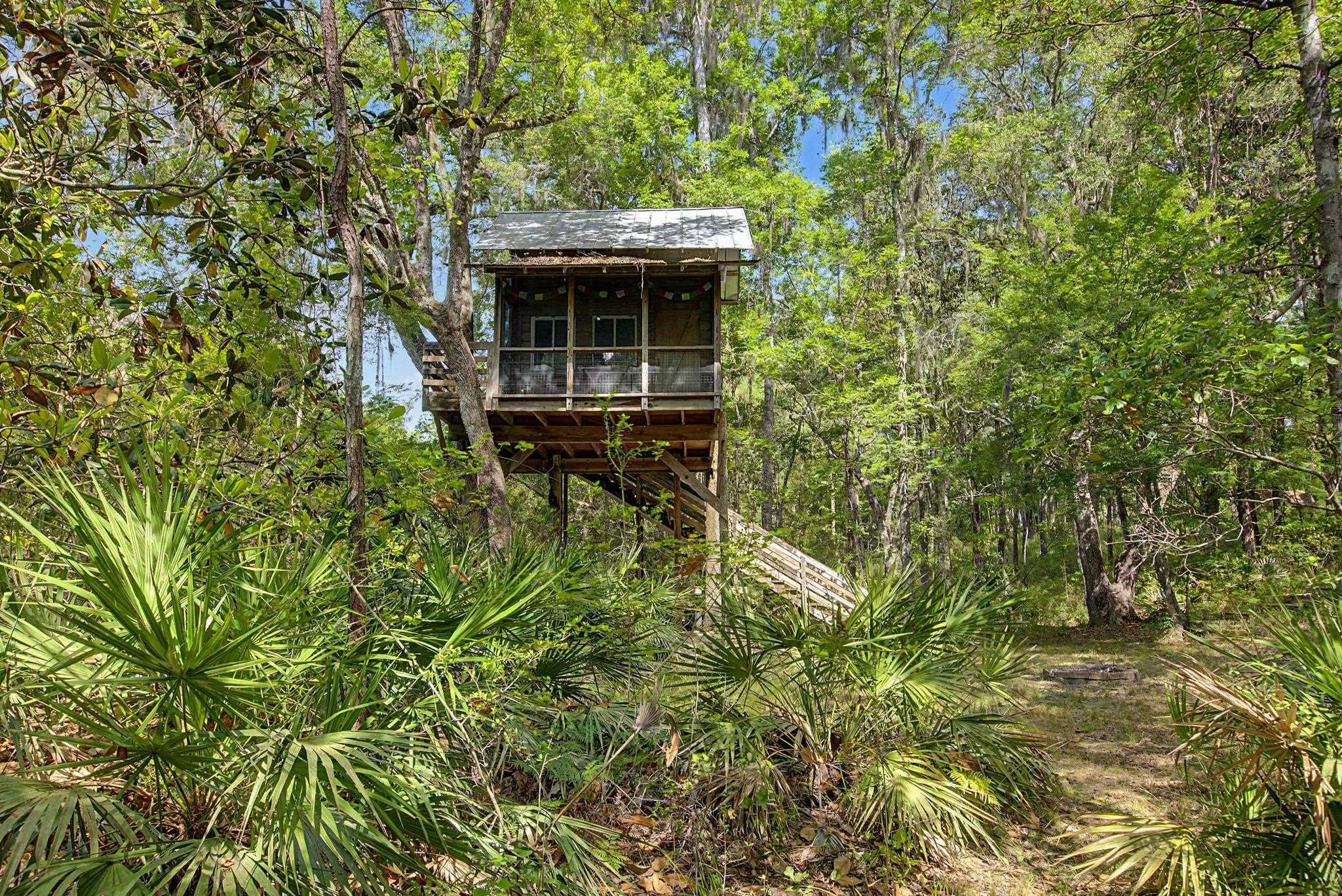 253 Persimmon Road Sopchoppy, FL 32358 - Photo 25 of 56