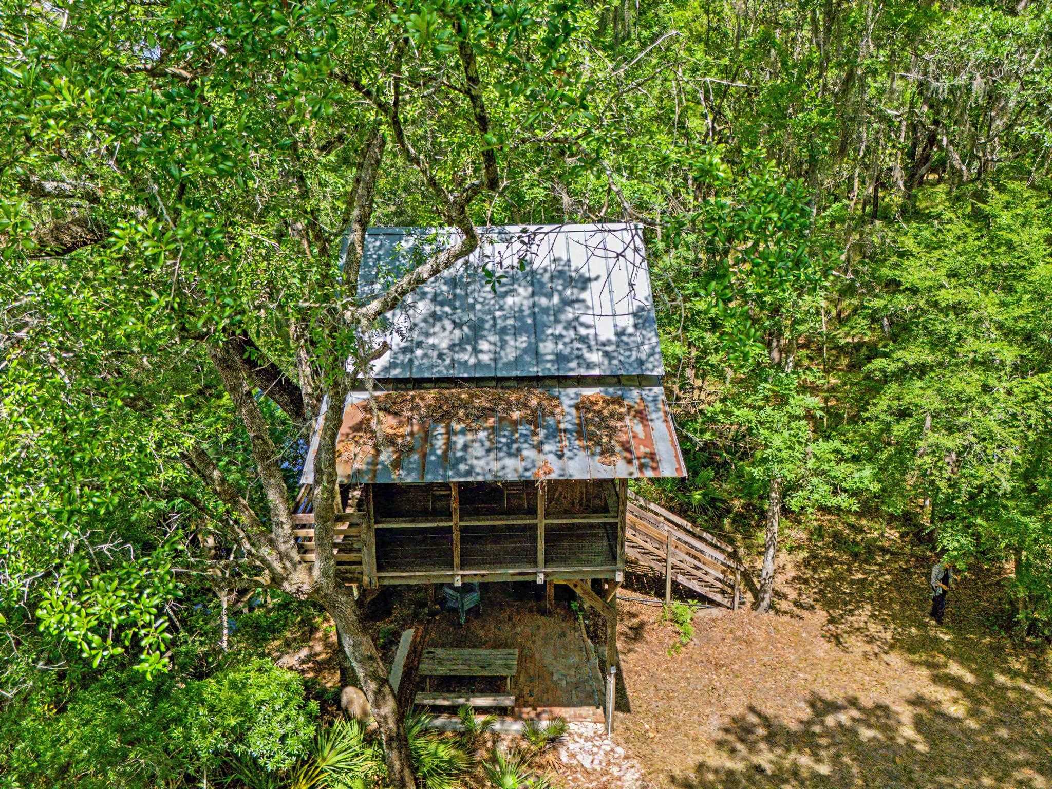 253 Persimmon Road Sopchoppy, FL 32358 - Photo 26 of 56