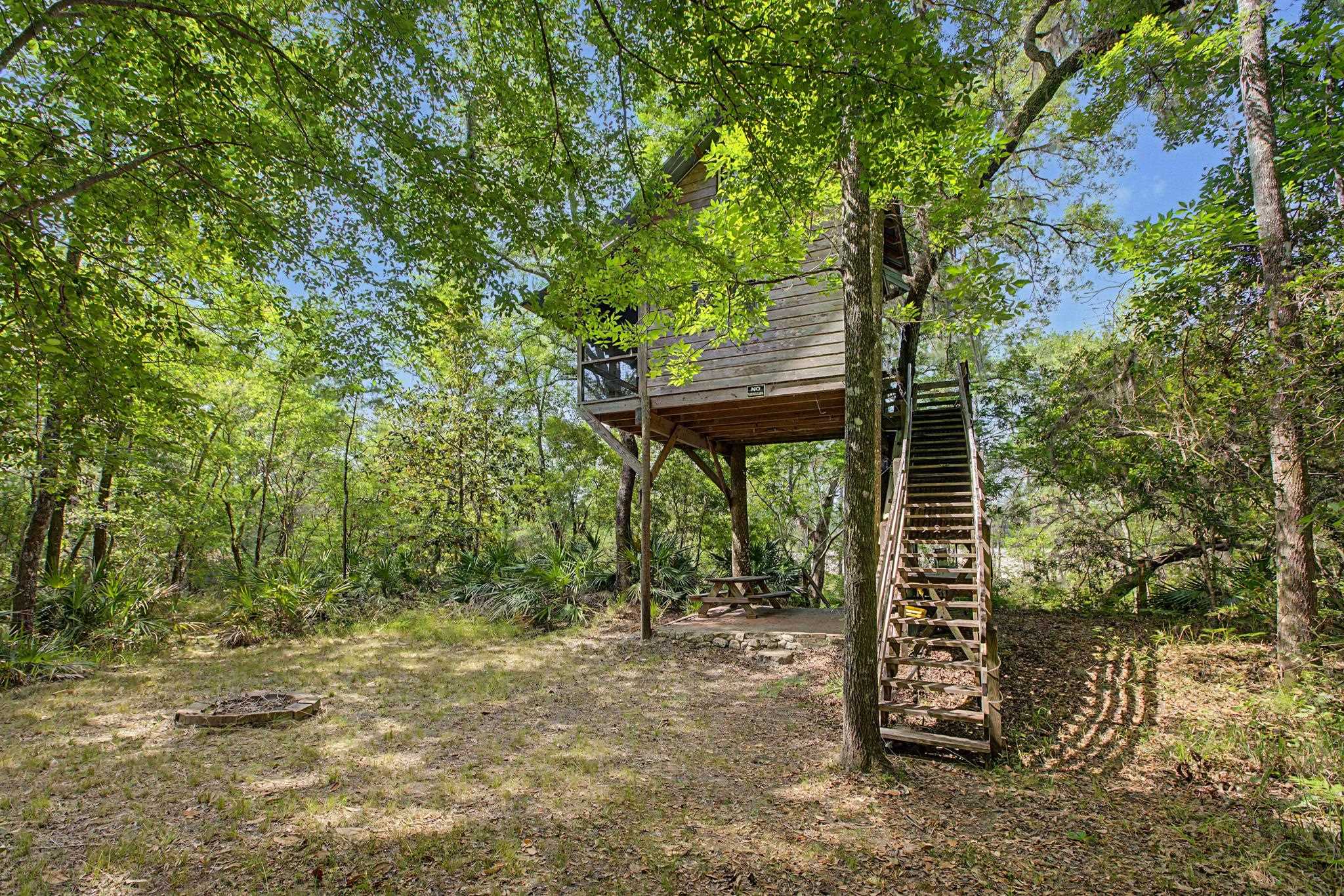 253 Persimmon Road Sopchoppy, FL 32358 - Photo 27 of 56