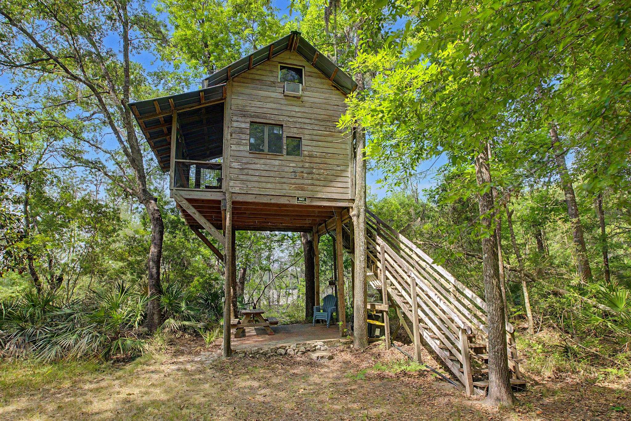 253 Persimmon Road Sopchoppy, FL 32358 - Photo 3 of 56