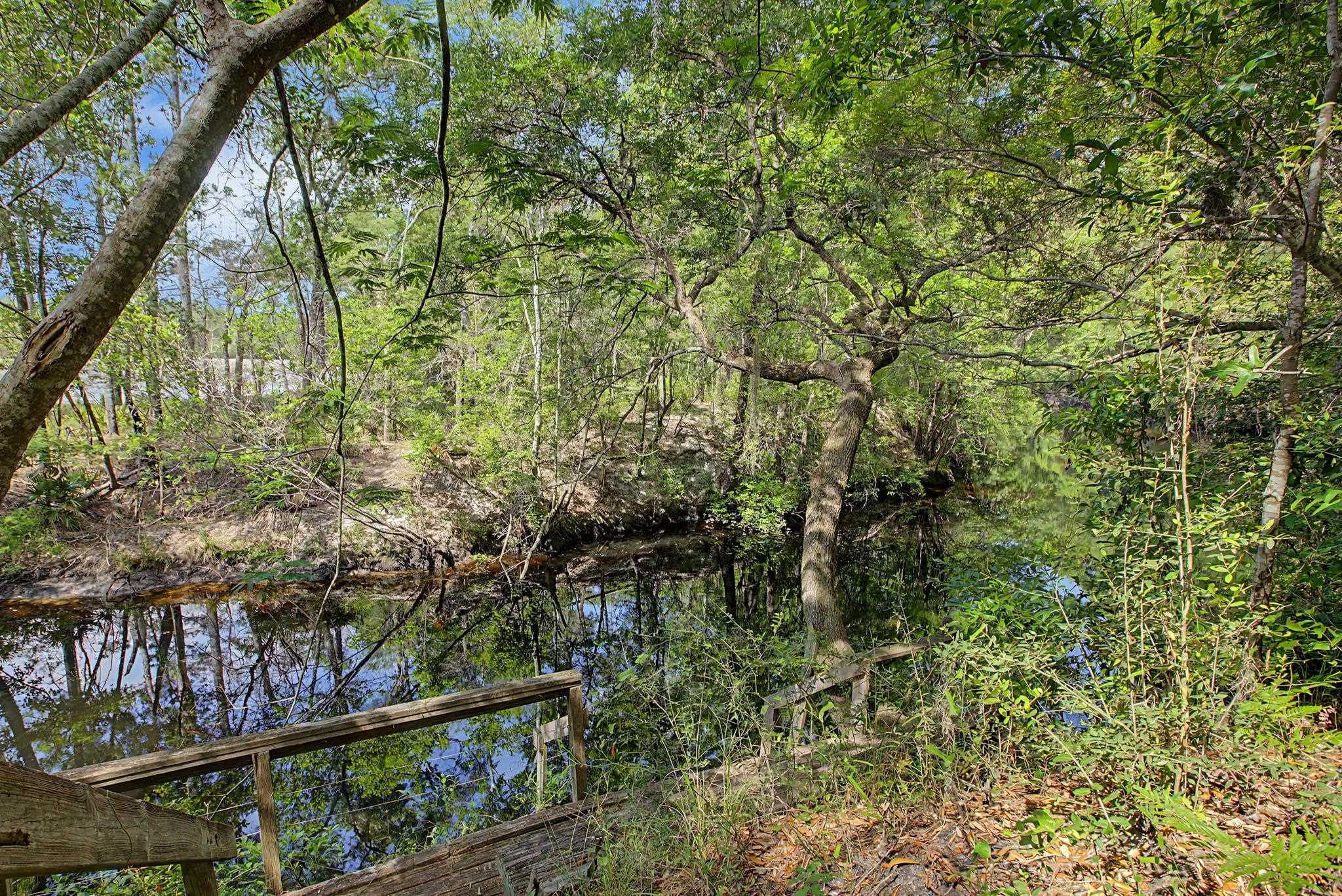 253 Persimmon Road Sopchoppy, FL 32358 - Photo 36 of 56