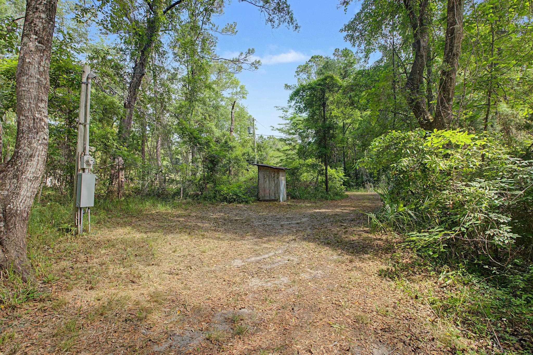 253 Persimmon Road Sopchoppy, FL 32358 - Photo 39 of 56