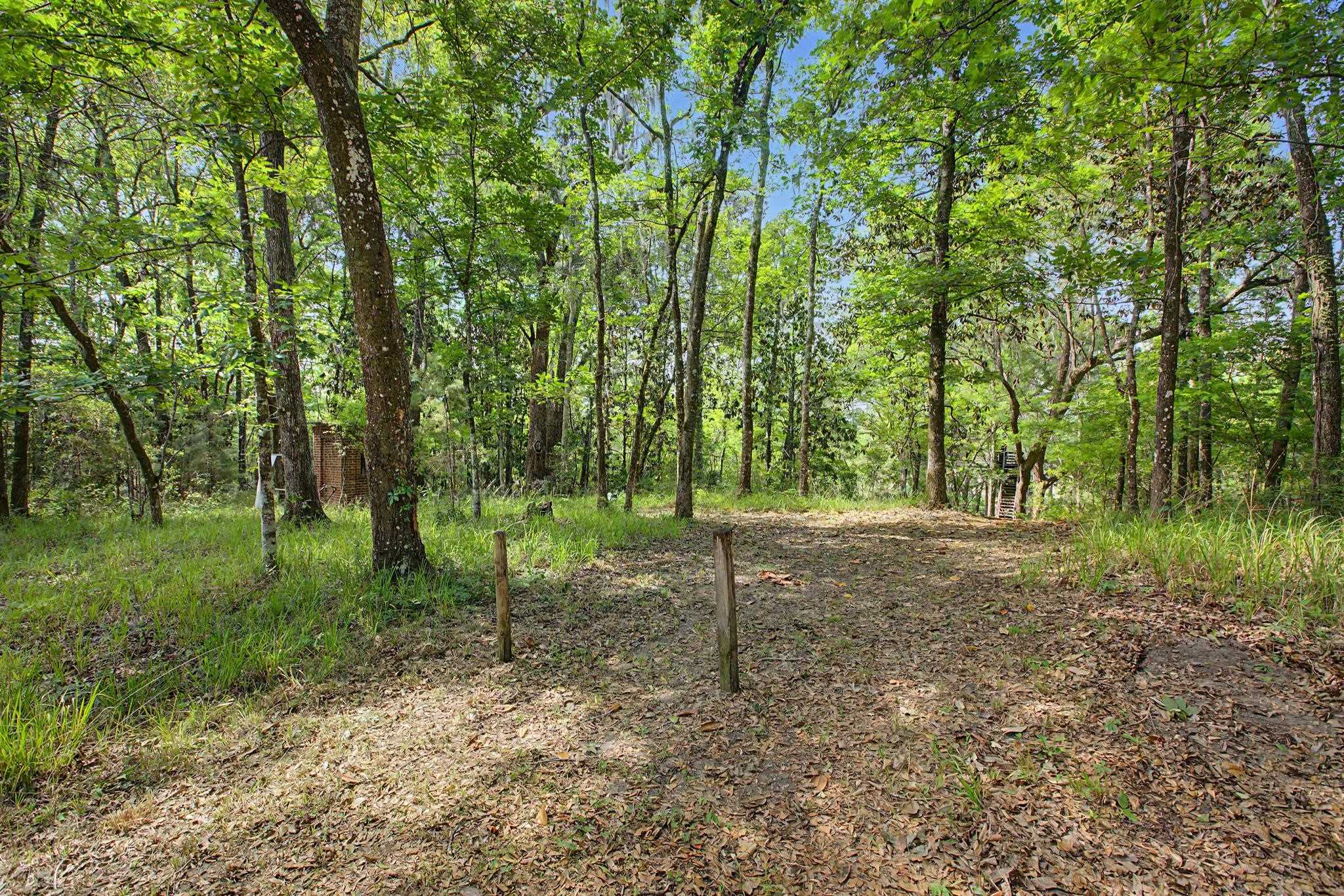 253 Persimmon Road Sopchoppy, FL 32358 - Photo 50 of 56