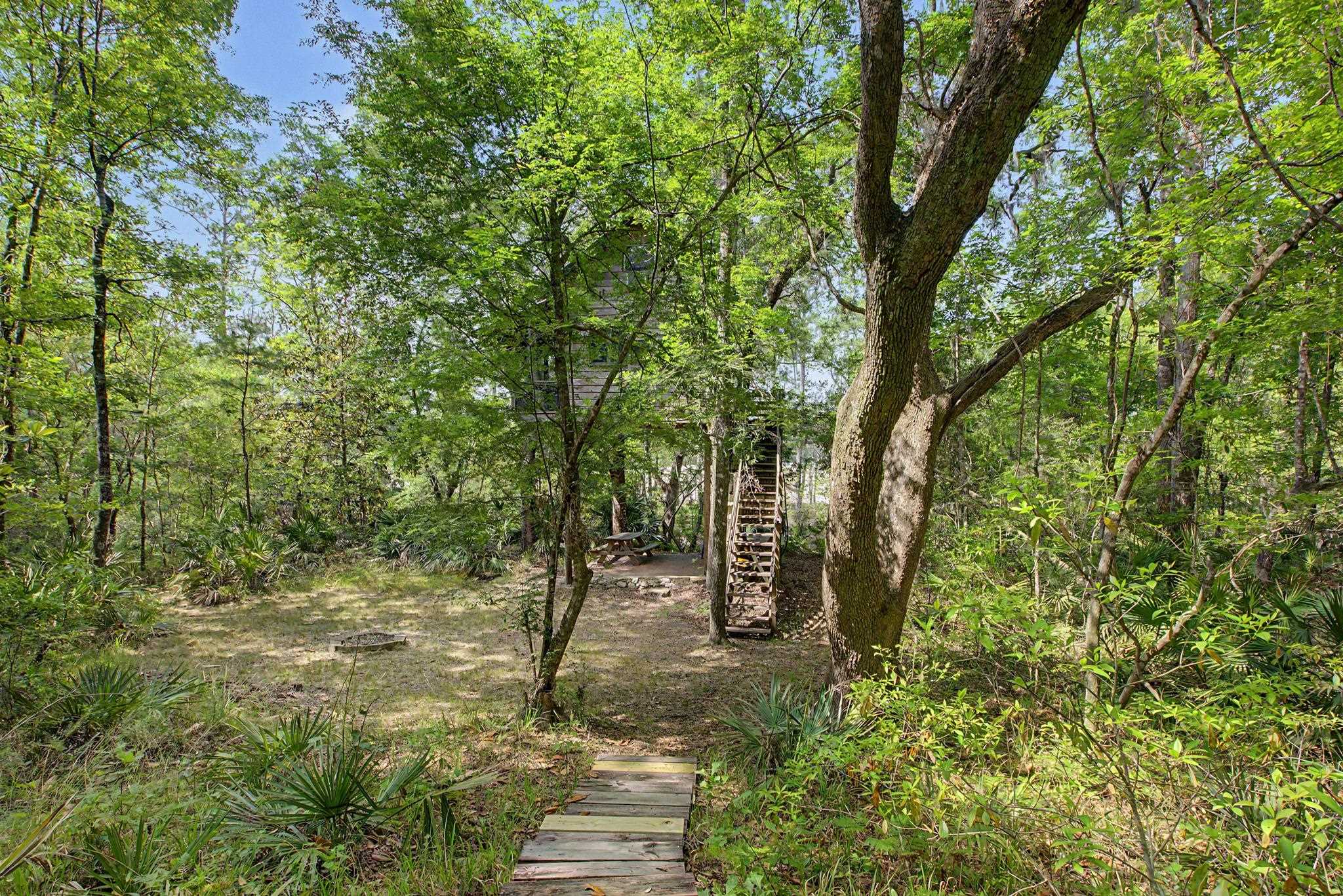 253 Persimmon Road Sopchoppy, FL 32358 - Photo 51 of 56