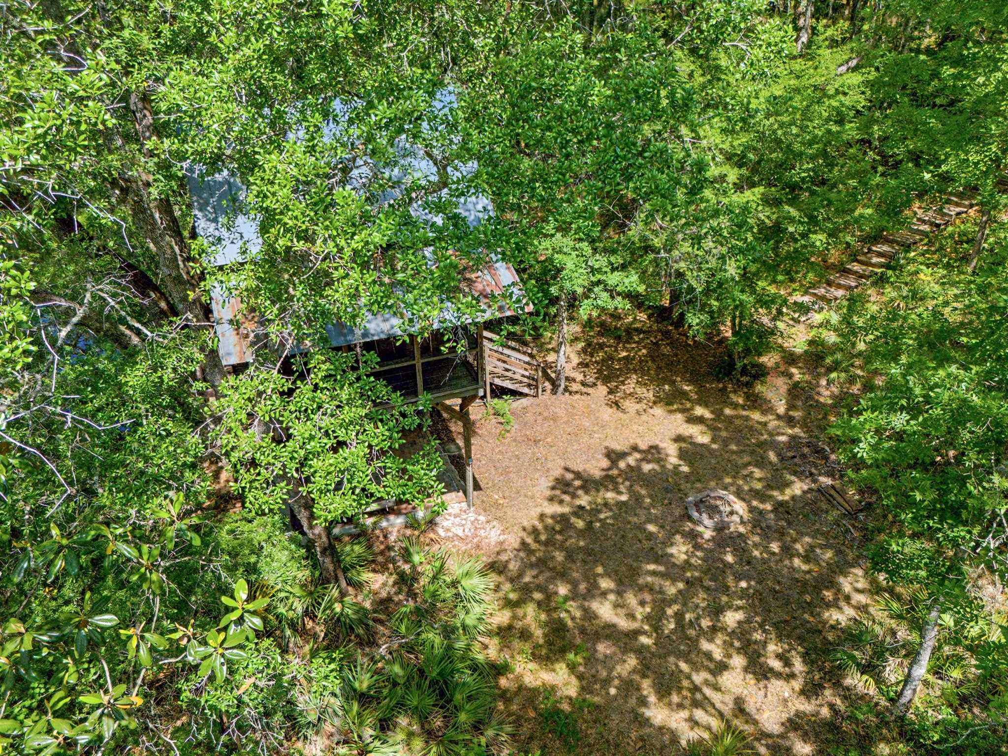 253 Persimmon Road Sopchoppy, FL 32358 - Photo 53 of 56