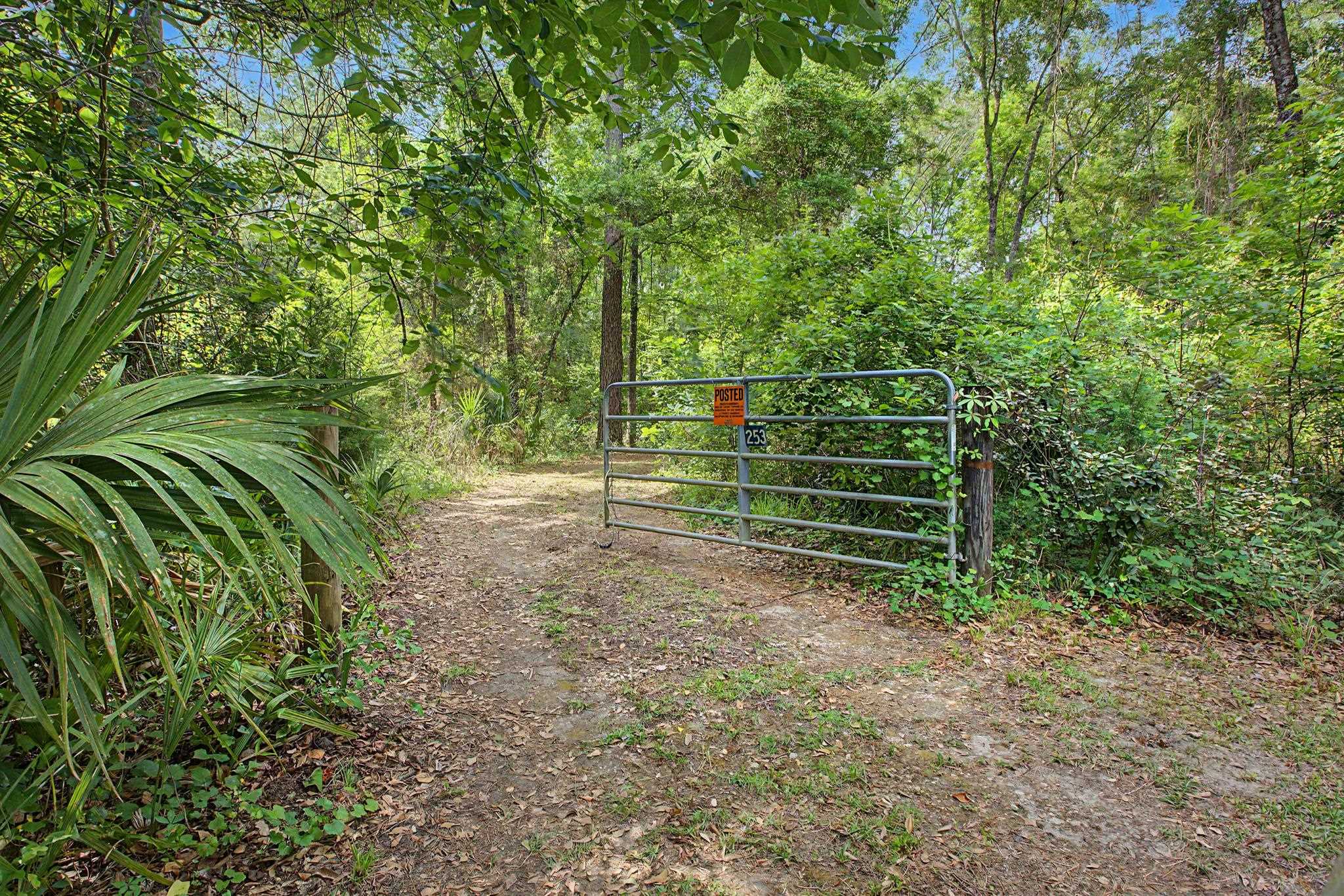 253 Persimmon Road Sopchoppy, FL 32358 - Photo 54 of 56
