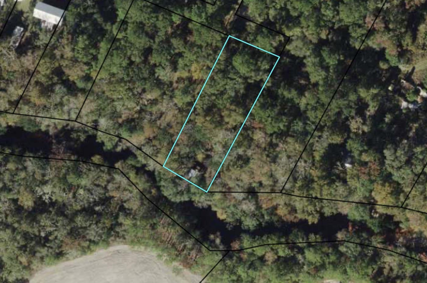253 Persimmon Road Sopchoppy, FL 32358 - Photo 55 of 56