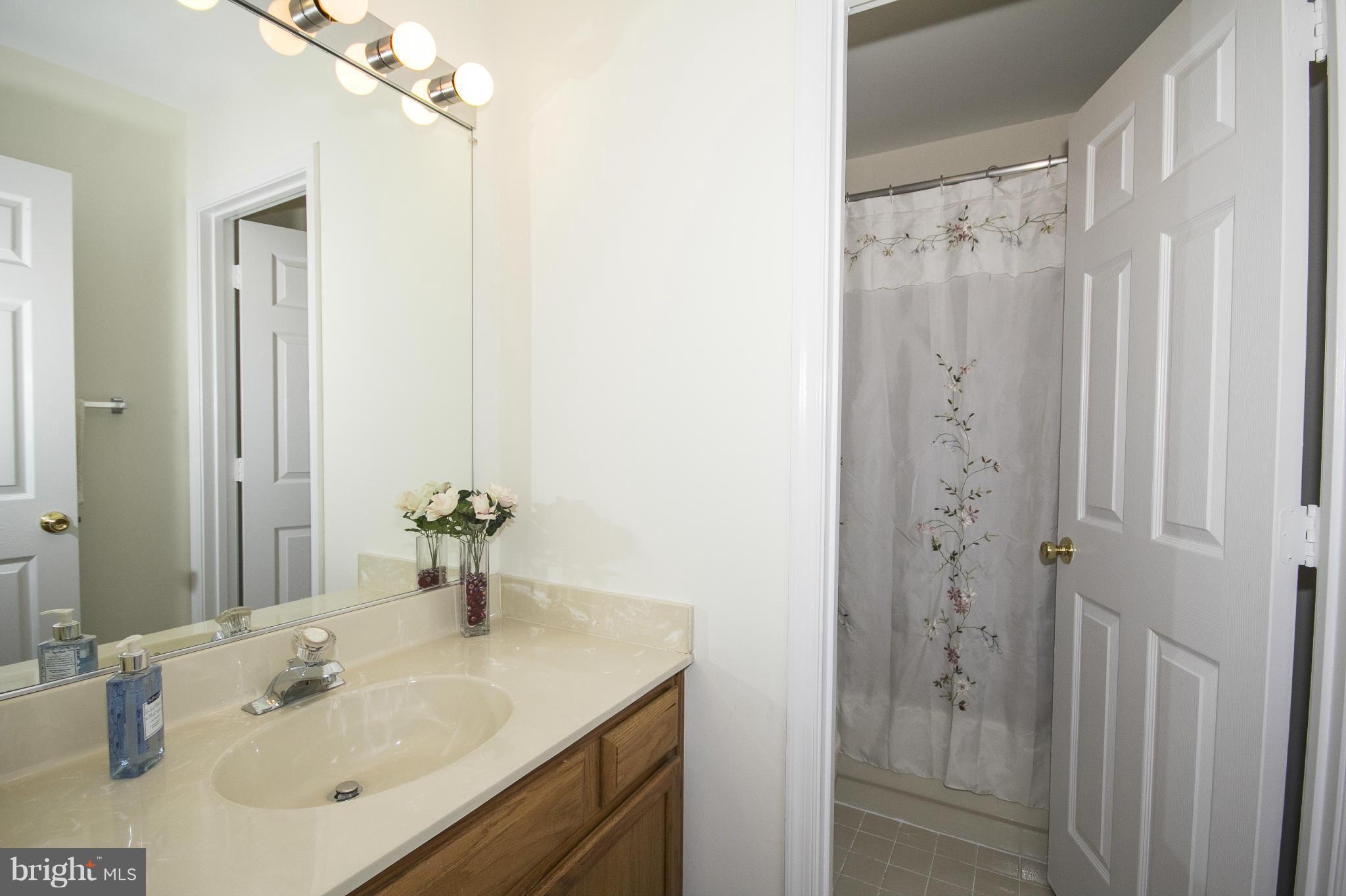 4309 Mispillion Road Baltimore, MD 21236 - Photo 21 of 29 a bathroom with a sink vanity and shower