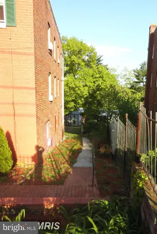 a view of a yard with plants