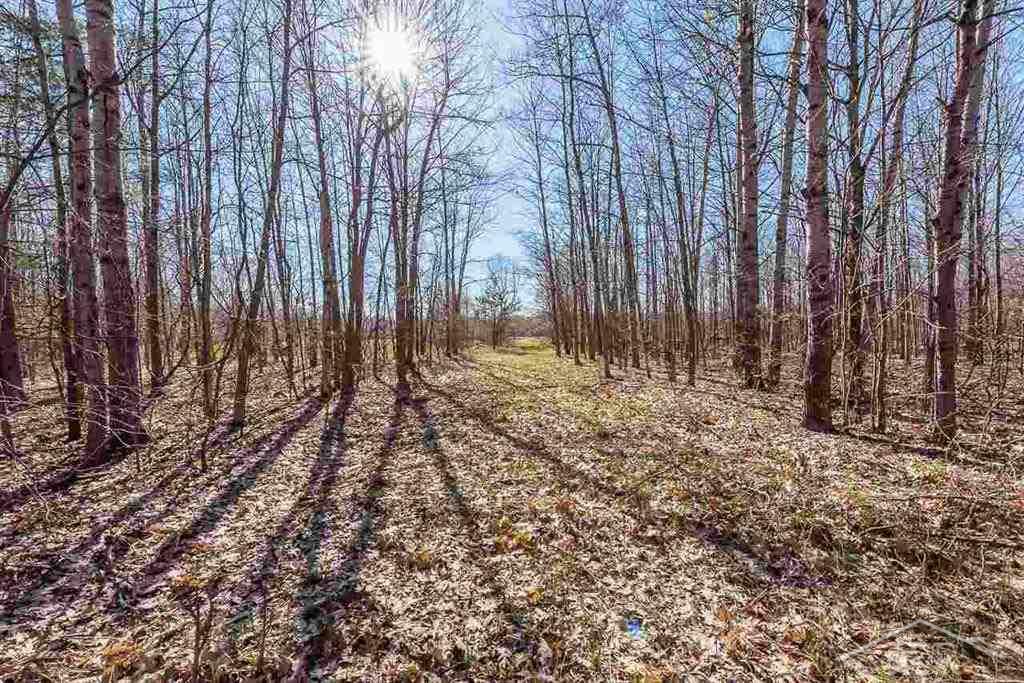 10813 East Valley Road Mount Pleasant, MI 48858 - Photo 16 of 22