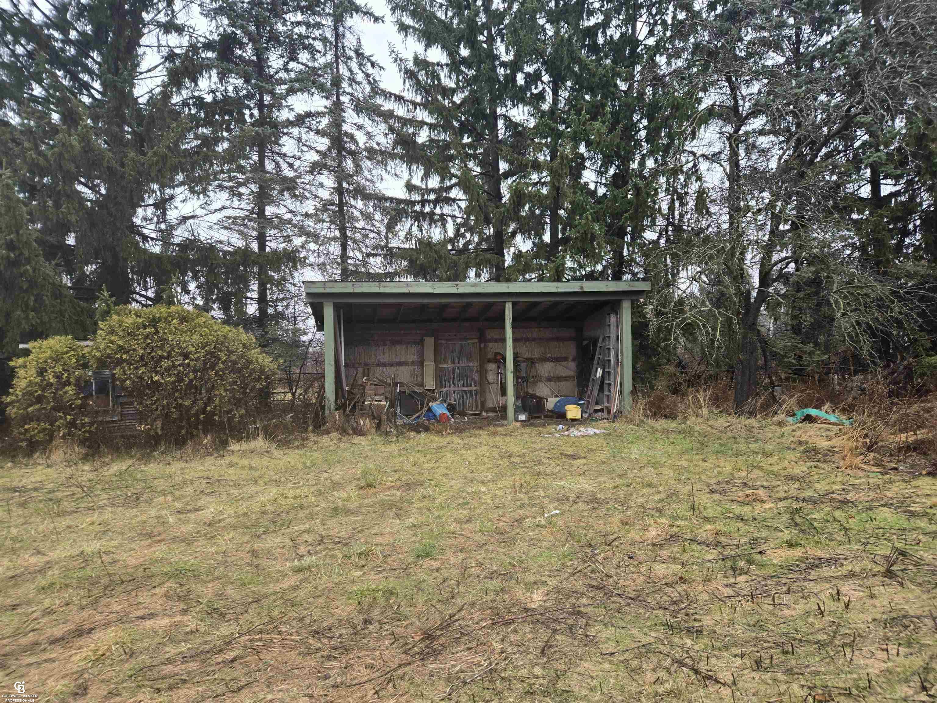 1815 Riley Center Road Memphis, MI 48041 - Photo 19 of 22 Lean to