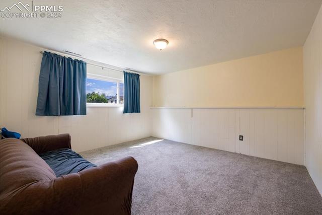 4835 Cheerful Road Colorado Springs, CO 80917 - Photo 19 of 30