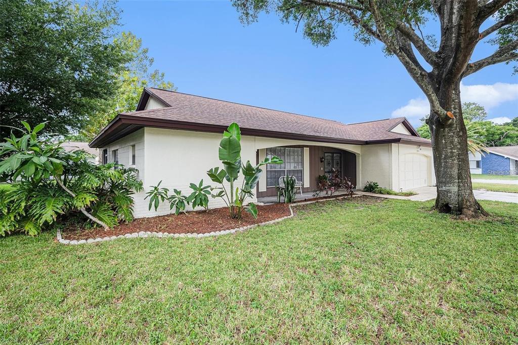 13013 Sawmill Way Hudson, FL 34667 - Photo 28 of 33 a view of an house with backyard and a tree